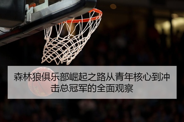 森林狼俱乐部崛起之路从青年核心到冲击总冠军的全面观察
