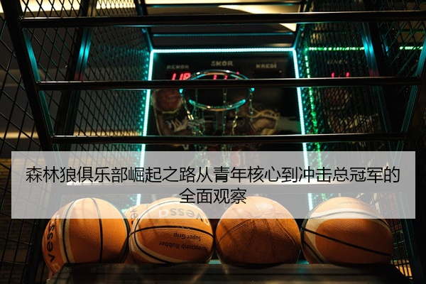 森林狼俱乐部崛起之路从青年核心到冲击总冠军的全面观察